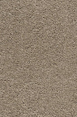 Ковролин AW Invictus Heroicus 35 фото 1 | FLOORDEALER